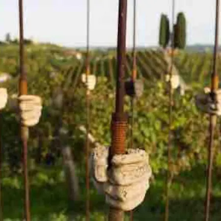 Casa Tra Monferrato & Langhe Vista Vigneti Ferienhaus Sant'Andrea (Piedmont)